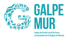 GALPE MUR